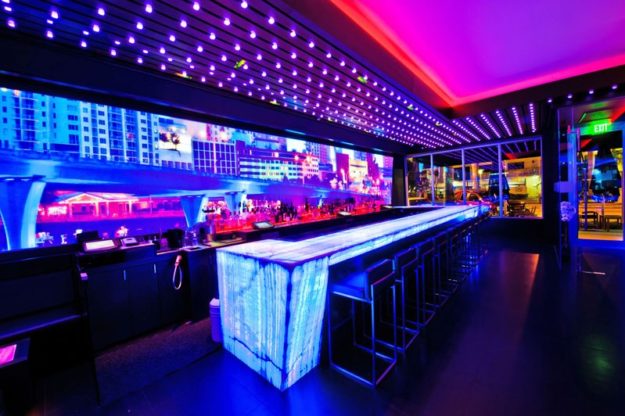 Vibrant LED lighting at Anolis Haven